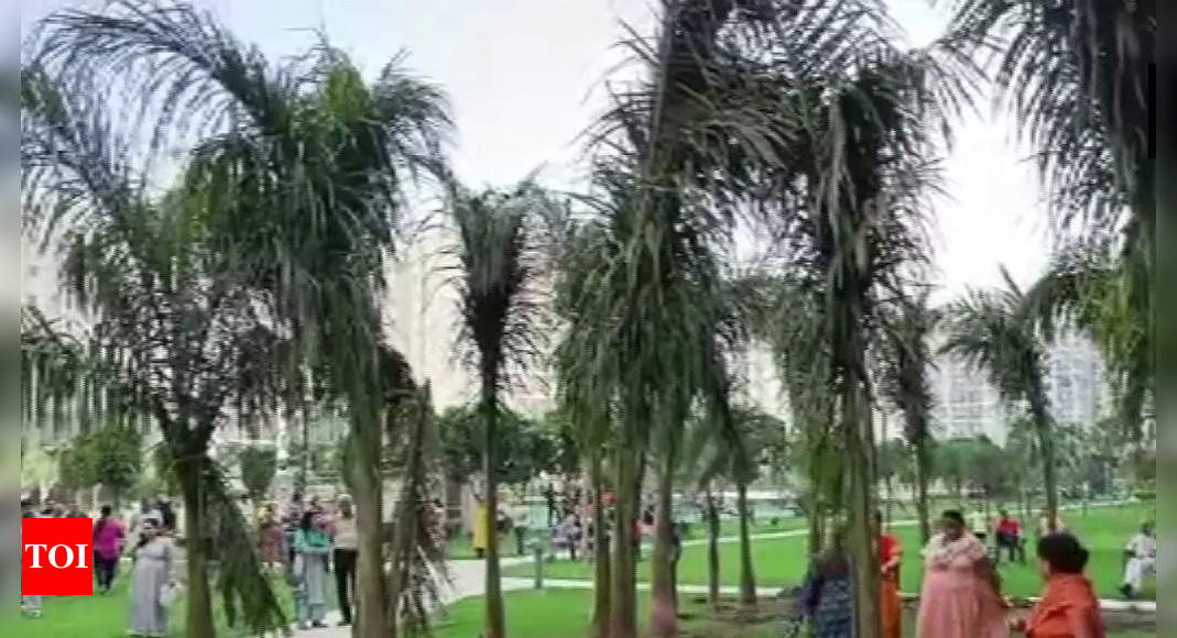 Shrikant Tyagi case: Palm trees at centre of controversy return in Noida society despite police presence | Noida News