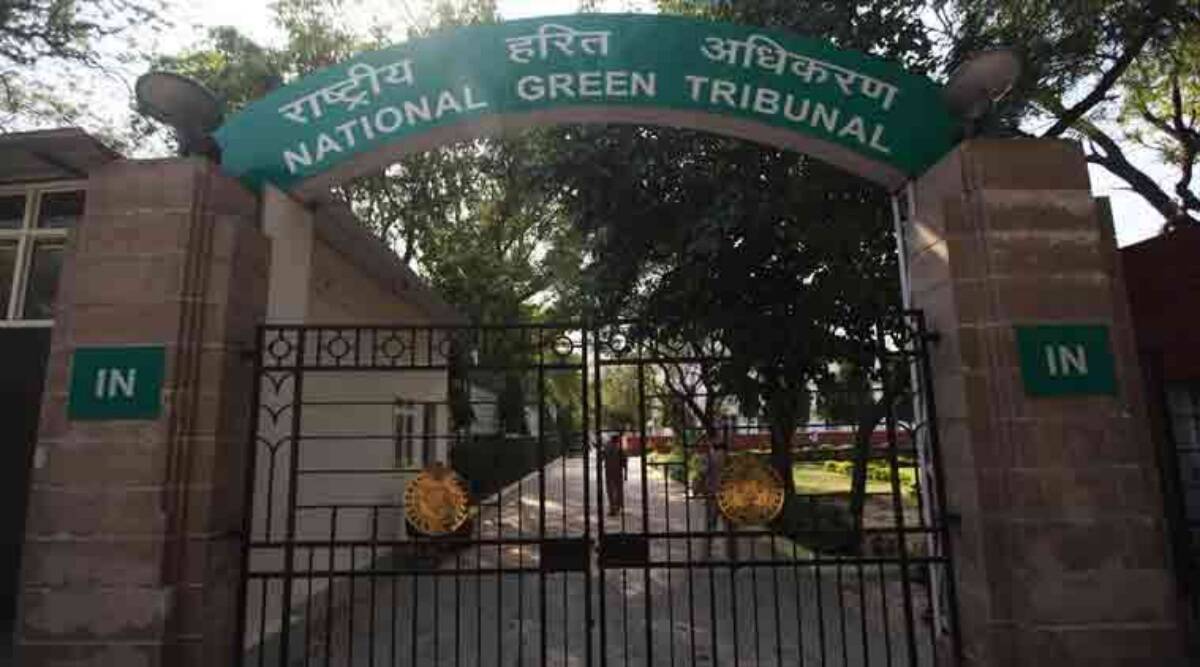 Find land for compensatory afforestation closer to where trees are being cut: NGT to NHAI