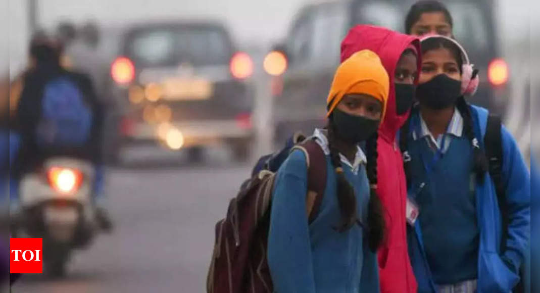 Amid cold and fog, schools for classes 1 to 8 in Noida and Ghaziabad to shut till Jan 7 | Noida News