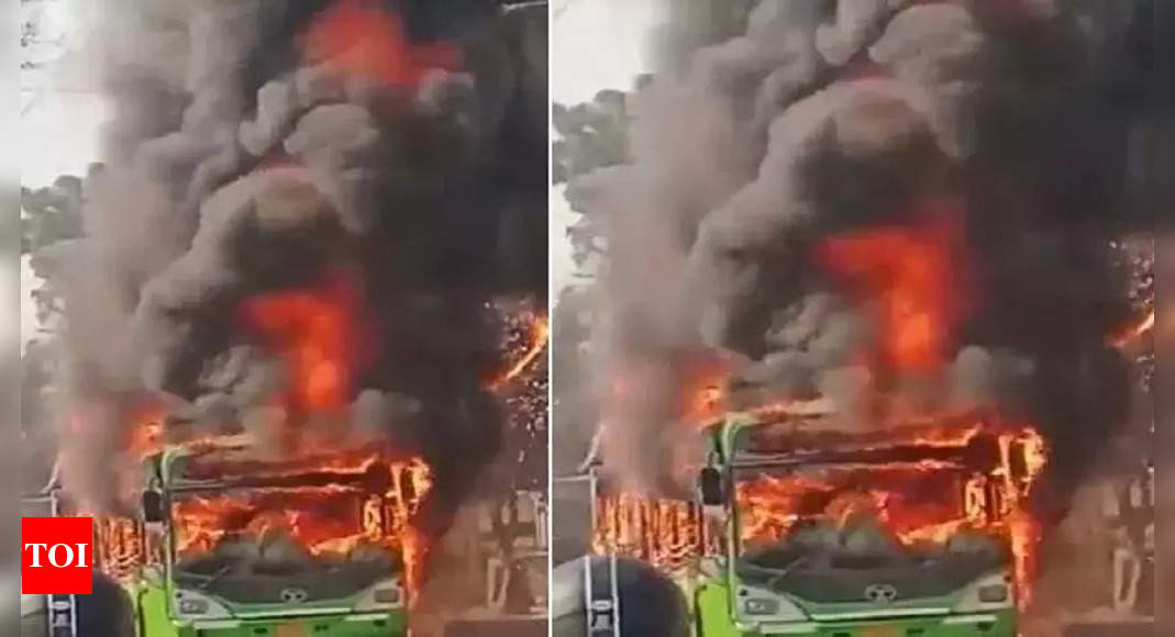 DTC bus catches fire in Delhi’s Kanjhawala, no casualties | Delhi News