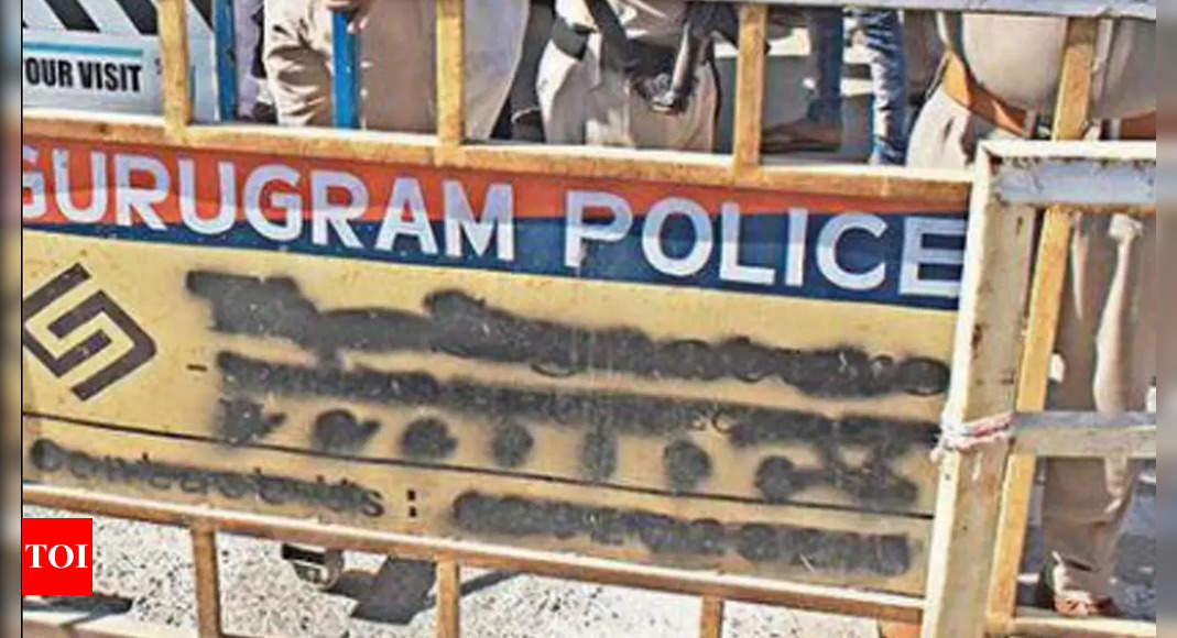 Woman held for posing as IPS officer in Gurugram; live cartridges seized | Gurgaon News