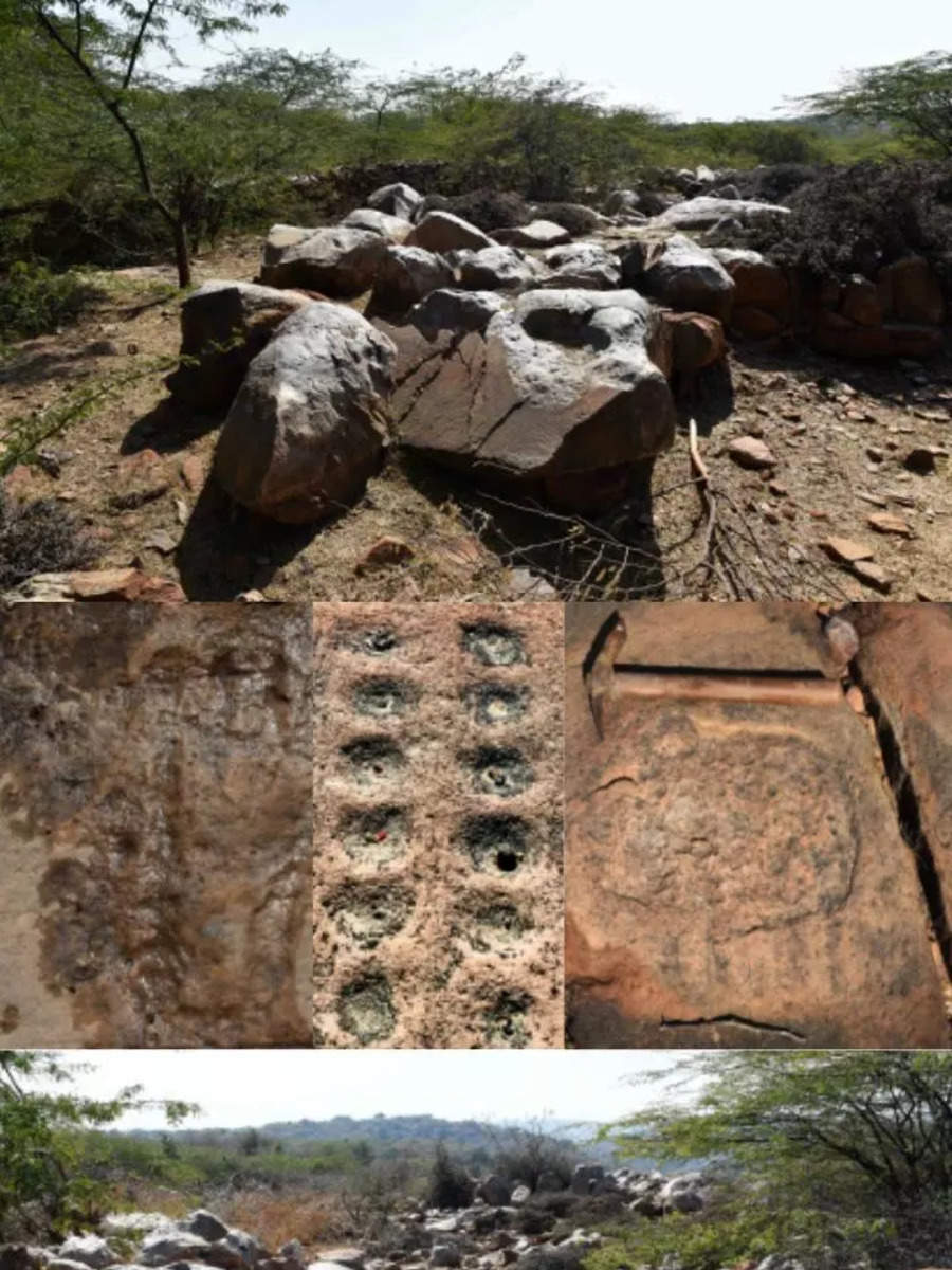 Stone age rock carvings found in hills near Delhi