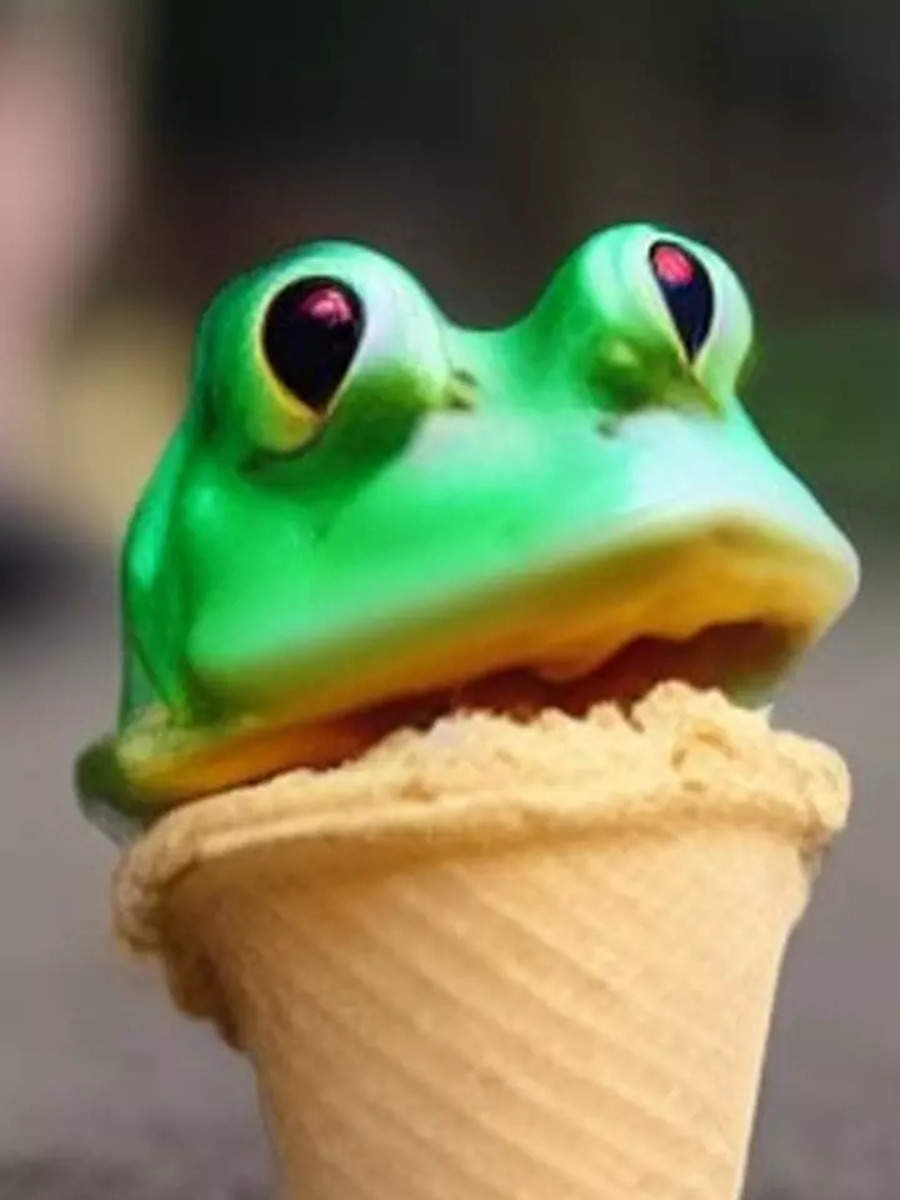 Dead frog found in ice cream in Madurai