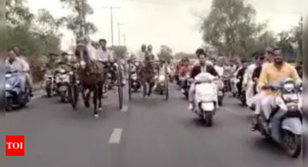 Delhi Horse Race: 10 held for illegal horse cart racing in central Delhi | Delhi News