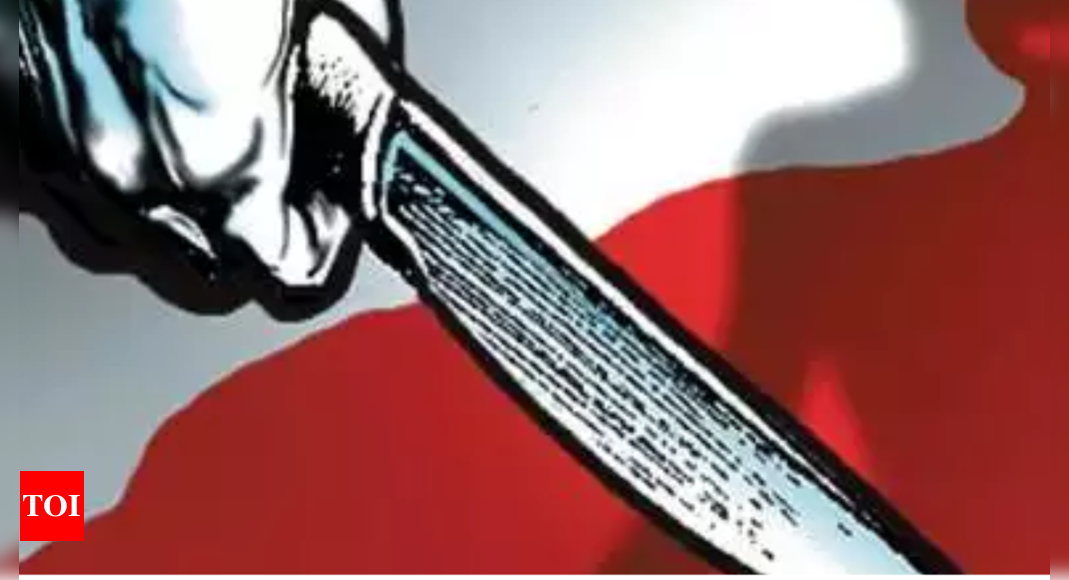 40-year-old man stabbed to death in outer Delhi’s Swaroop Nagar, two other injured | Delhi News