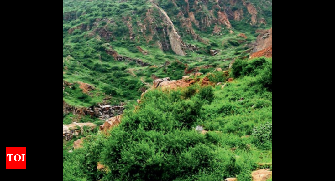 8% of Aravali hills gone since 1975, 22% loss likely by 2059: Study | Gurgaon News